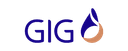 GIG logo