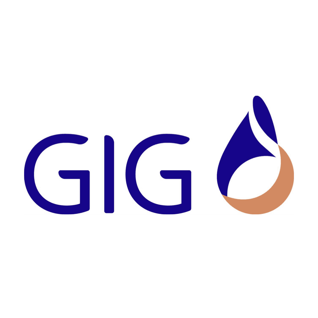 GIG logo